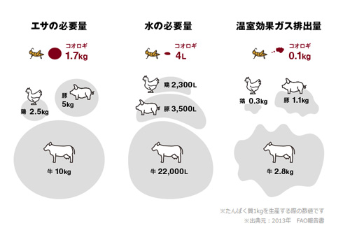 コオロギや家畜のタンパク質を示すグラフ
