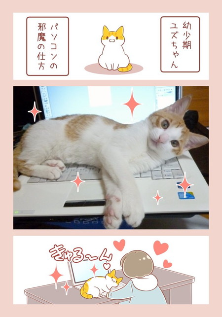 ユズちゃんはいつもかわいい