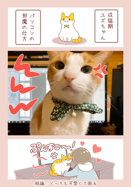 ユズちゃんはいつもかわいい