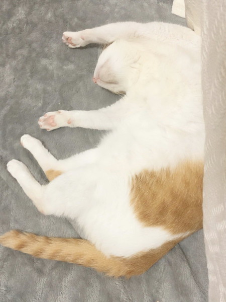 ユズちゃんはいつもかわいい