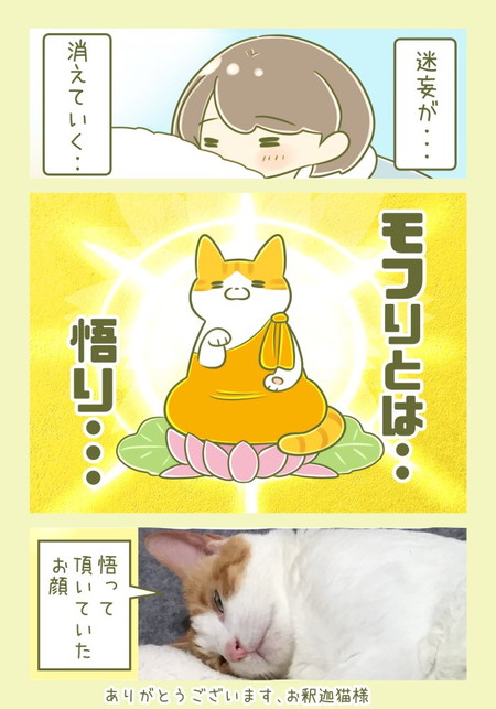 ユズちゃんはいつもかわいい