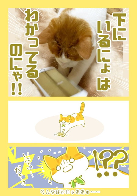 ユズちゃんはいつもかわいい