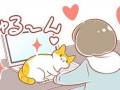 PC作業を邪魔するネコちゃんのビフォーアフター　幼少期と成猫期どっちもかわいくて飼い主さんがお困り中