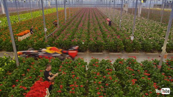 レッドブル F1 オランダ