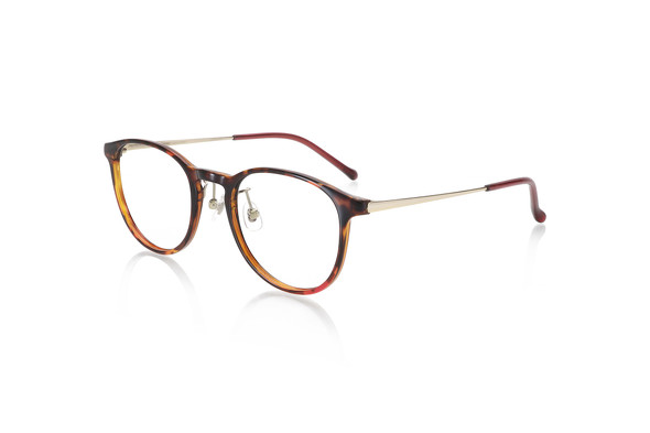 JINS×イガリシノブ