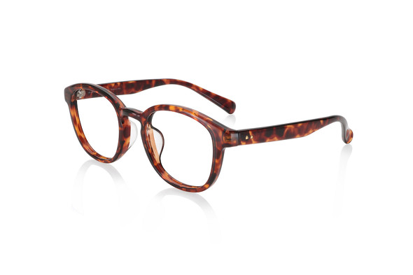 JINS×イガリシノブ