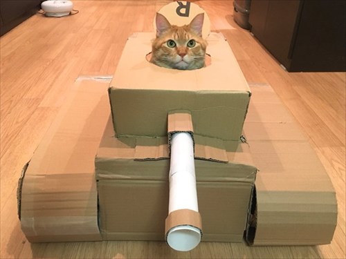 戦車に乗る猫ちゃん
