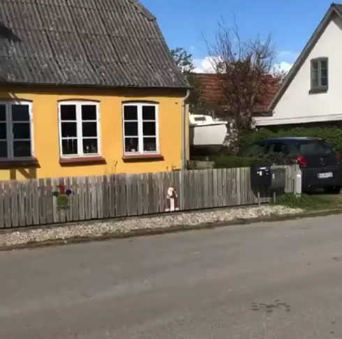 ブルドッグが柵から顔をひょっこり　威厳のない「道ばたの王様」がかわいい