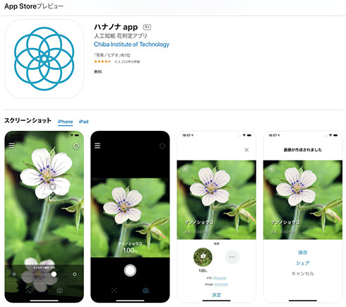 名もなき花の名前を教えてくれる無料アプリ「ハナノナ」で散歩がはかどりそう