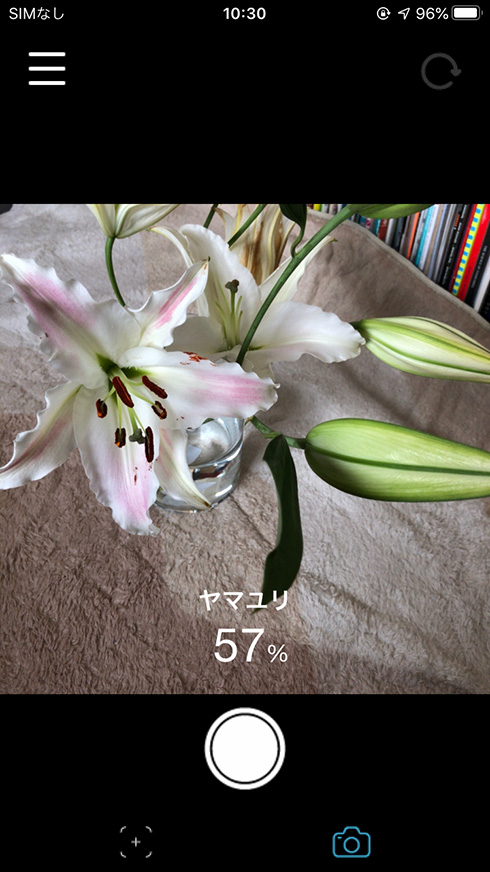 名もなき花の名前を教えてくれる無料アプリ「ハナノナ」で散歩がはかどりそう