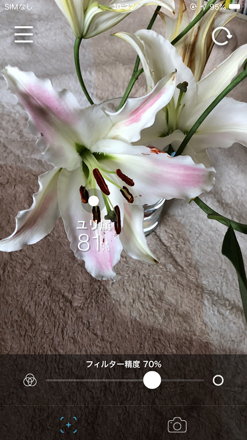 名もなき花の名前を教えてくれる無料アプリ「ハナノナ」で散歩がはかどりそう