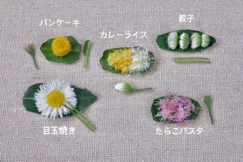 ハルジオン レストラン 花 雑草 ヒメジョオン 見分け方