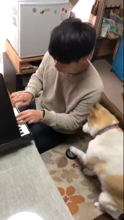 アンサンブルするチャムさん