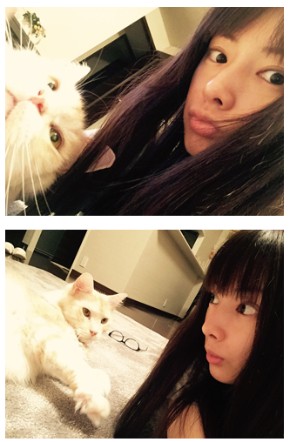 DAIGO 北川景子 ブログ インスタ 猫 ジル