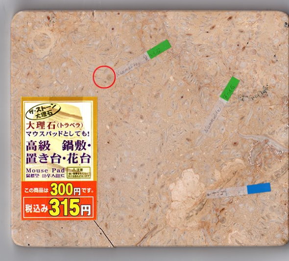 100均 マウスパッド 化石 ヌムリテス サンゴ ダイソー