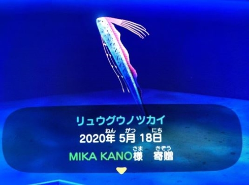 叶姉妹 あつ森 叶美香 叶恭子 あつまれどうぶつの森 リュウグウノツカイ