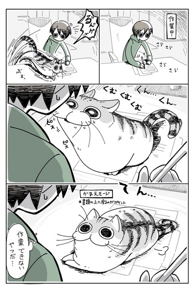 かまってほしいネコ