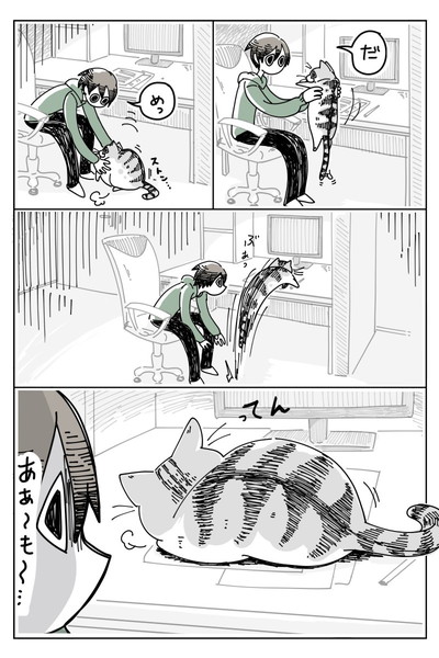 かまってほしいネコ