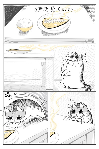 焼き魚観察しにくるネコ