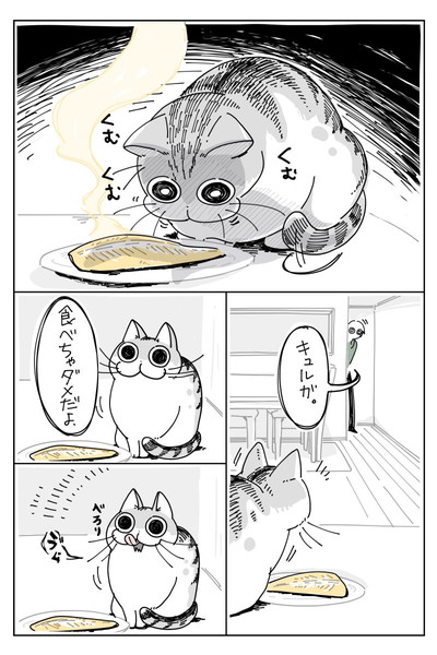 焼き魚観察しにくるネコ