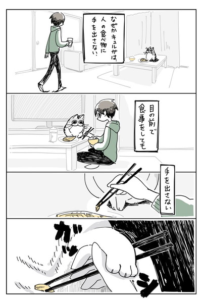 焼き魚観察しにくるネコ