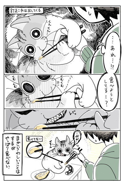 焼き魚観察しにくるネコ