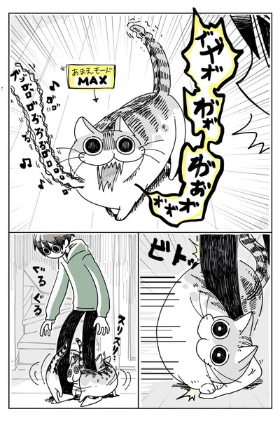 帰宅後のあまえ方はげしい