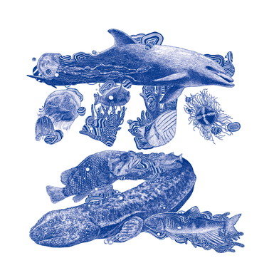 京都水族館 変態予告