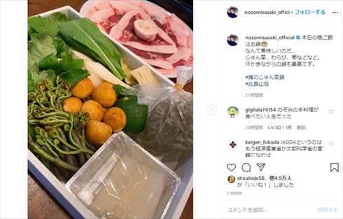 佐々木希 インスタ おうち時間 スイカ グルメ 渡部