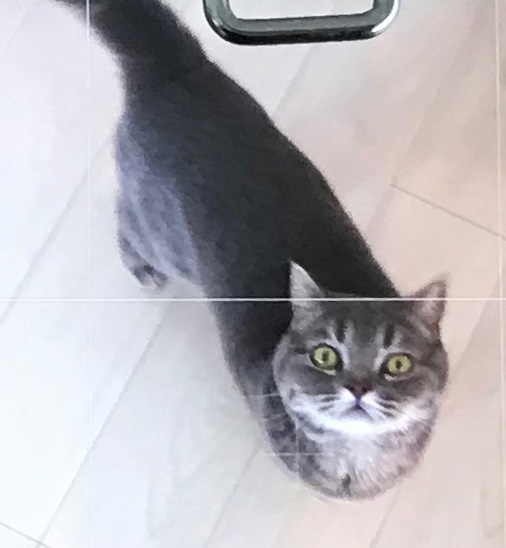 目線システム顔アップ