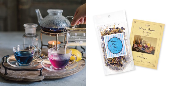 フェリシモ　魔法部