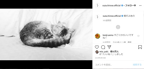 広瀬すず 猫 あのちゃん