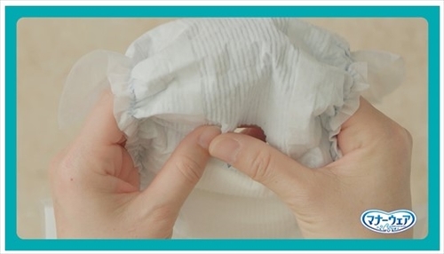 マナーウェアねこ用　動画