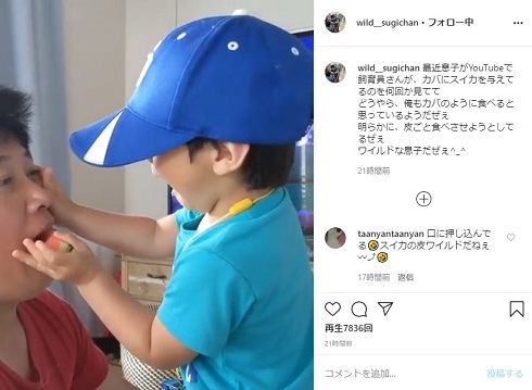 スギちゃん 息子 長男 ワイルド スイカ