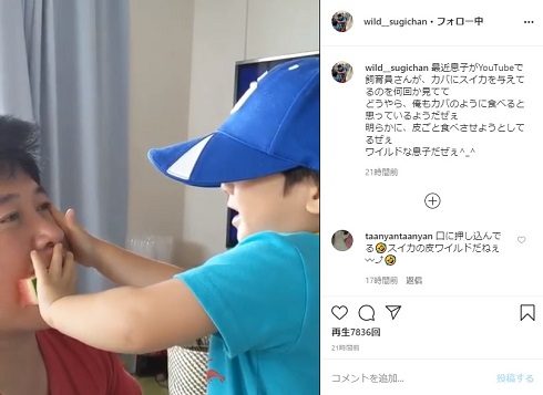 スギちゃん 息子 ワイルド スイカ
