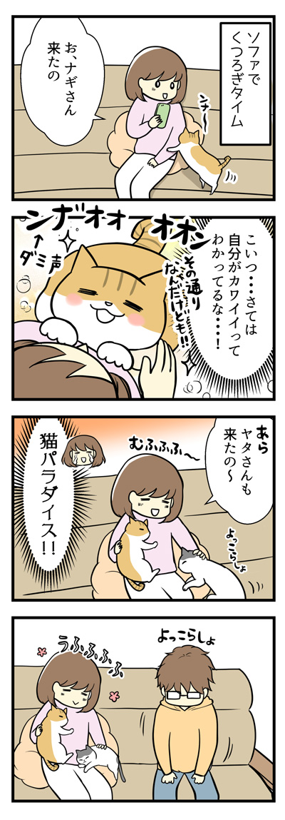 どうしても理由がわからないこと1