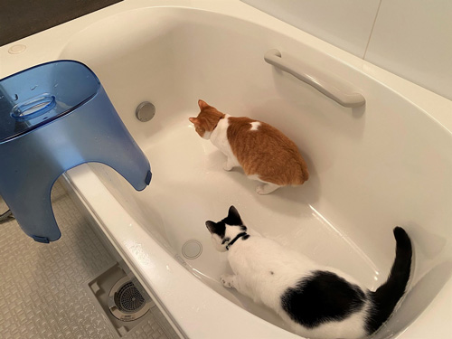 ギリギリに挑むナギさんヤタさん