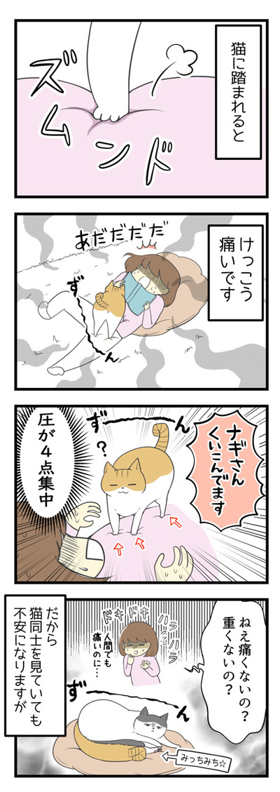 猫に踏まれると1