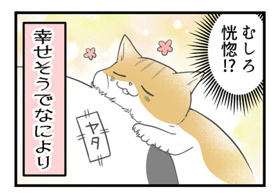 猫に踏まれると2