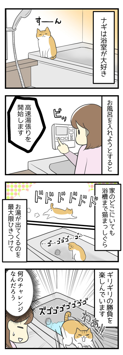 ギリギリ大失敗1