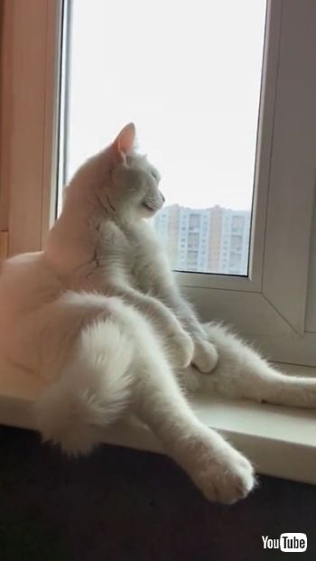 Deep Thoughts
