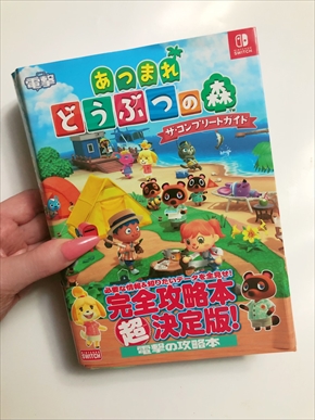 叶姉妹 美香 恭子 あつまれどうぶつの森 あつ森 攻略本 プレイ日記 ブログ