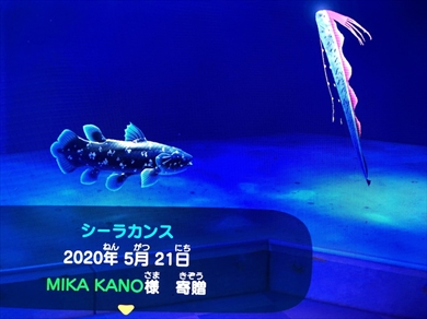 叶姉妹 美香 恭子 あつまれどうぶつの森 あつ森 攻略本 プレイ日記 ブログ シーラカンス リュウグウノツカイ