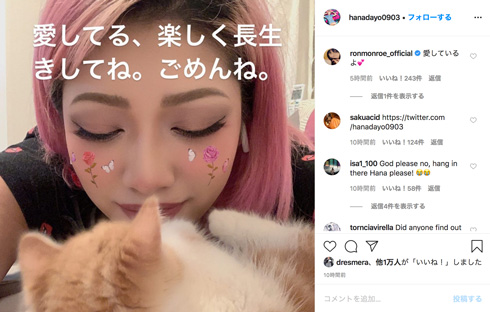 木村花 テラスハウス プロレスラー