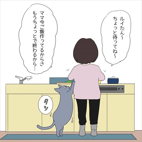 甘えん坊の猫ちゃん