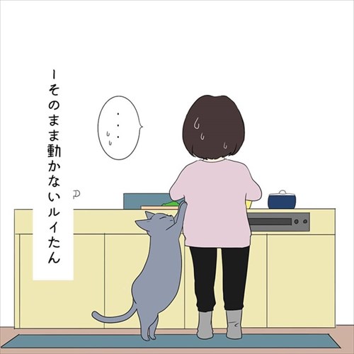 甘えん坊の猫ちゃん