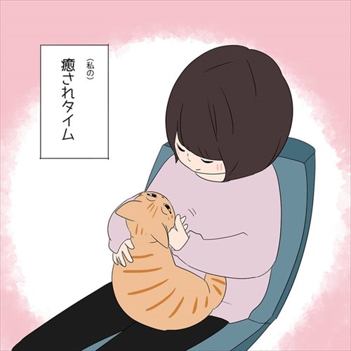 甘えん坊の猫ちゃん
