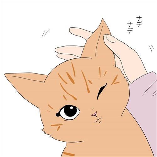 甘えん坊の猫ちゃん