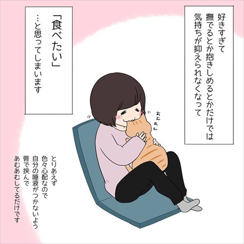 甘えん坊の猫ちゃん