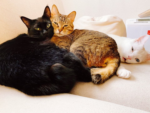 みんなと一緒に